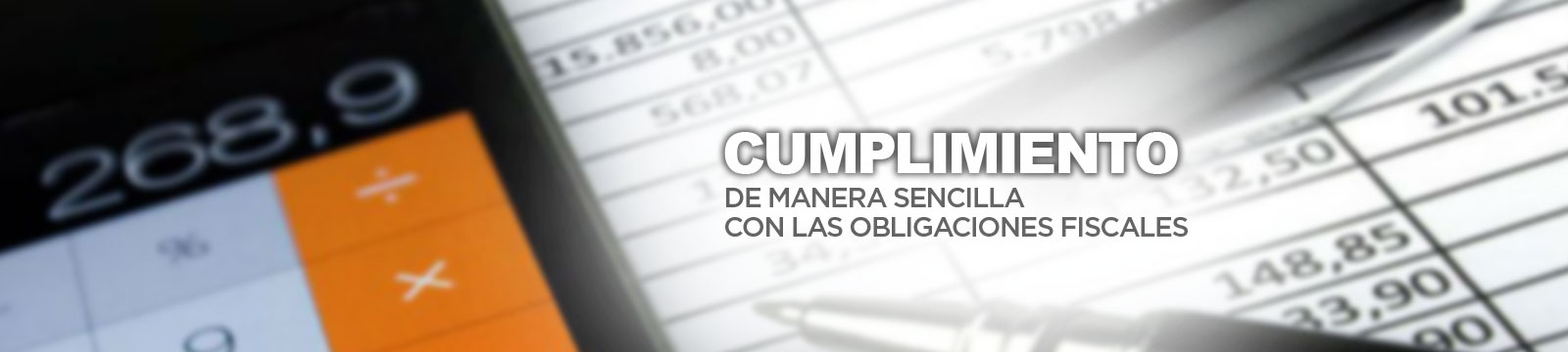 IR Soluciones Microsip